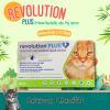 Revolution Plus 5-10kg | ยากำจัดและป้องกันเห็บหมัด ไรหู ป้องกันพยาธิหัวใจ สำหรับแมว