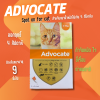 Advocate For Cat 0-4kg | ยากำจัดและป้องกัน หมัด ไรหู ป้องกันพยาธิหัวใจ สำหรับแมว