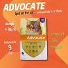 Advocate For Cat 4-8kg | ยากำจัดและป้องกัน หมัด ไรหู ป้องกันพยาธิหัวใจ สำหรับแมว