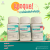 Apoquel | ยาแก้แพ้ ลดอาการคัน รักษาอาการภูมิแพ้ผิวหนัง สำหรับสุนัข (1 เม็ด)