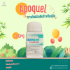 Apoquel 3.6mg