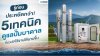 submersible-pump-maintenance-tips ช่างกำลังติดตั้งปั๊มบาดาลลงในบ่อ พร้อมเทคนิคการดูแลปั๊มบาดาลให้แรงสม่ำเสมอ