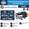 TORQUE ปั๊มหอยโข่งหัวสแตนเลส 1HP 1x1นิ้ว 220V รุ่น TJS100