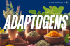 สารปรับสมดุลจากธรรมชาติที่ปรับความไม่สมดุล (Adaptogens)  