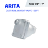 ARITA Cast Iron Automatic Air Vent Valve (IAV-S200) - BSPT