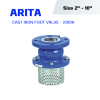 ARITA Cast Iron Foot Valve (IFT-F1) - JIS10K