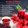 ชาดอกชบา ออร์แกนิค Organic Hibiscus Tea 1 แพค= 12 ซอง ไม่มีน้ำตาล ไม่มีคาเฟอีน #WhalistaHibiscusTea