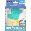 Eco+ Refreshing Teether Cactus 4M+