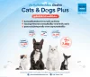 Cats & Dogs Plus