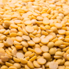 ถั่วเหลืองซีก (Split Soybeans)