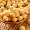 ถั่วเหลืองเม็ด (Whole Soybeans / Soybeans)