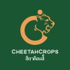 cheetahcrops
