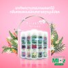 Mixz Botanical Series สเปรย์ปรับอากาศ 320 มล.