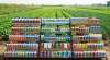 insecticide company