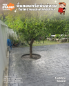 งานคอนกรีตพิมพ์ลาย Cobble Stone