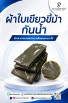 ผ้าฟางเคลือบ