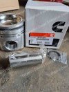 PISTON + PIN CUMMINS 4934860
