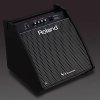 ROLAND PM 200 - PEROSNAL DRUM MONITOR 12", 180W