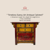 Gansu Antique Cabinet