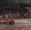 History of Chokchai Elephant Camp Chiangmai 