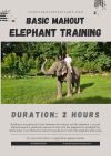 Basic Mahout Elephant Training