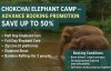 Chokchai Elephant Camp – Advance Booking Promotion: Save Up to 50% Chokchai Elephant Camp – Advance Booking Promotion: Save Up to 50%