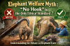 Elephant Welfare Myth: “No Hook (No Use of Hooks) Is the Only Ethical Standard?” Elephant Welfare Myth: “No Hook (No Use of Hooks) Is the Only Ethical Standard?”