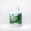 GINKGO BILOBA EXTRACT 60'S MEGA.