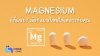 Magnesium มีกี่ Form? แต่ละแบบต่างกันอย่างไร ควรเลือกกินแบบไหนดี