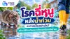 โรคฉี่หนูหลังน้ำท่วม อาการเป็นอย่างไร? พร้อมวิธีป้องกันและยาที่ควรเตรียมหลังน้ำลด