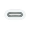 Apple USB-C to Apple  Pencil Adapter