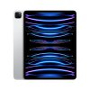 iPad Pro 12.9-inch Wi-Fi + Cellular 256GB 2022 (6th Gen)