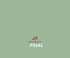 PS141 Solid Pattern