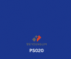 PS020 Solid Pattern