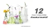 12 Flower Complex KOREA ส่วนผสมมาแรงแห่งปี 12 Flower Complex KOREA ส่วนผสมมาแรงแห่งปี