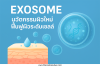 Exosome (เอ็กโซโซม) ฟื้นฟูผิวใส คืออะไร?
