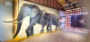 SAMUI ELEPHANT HOME