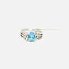 Blue Sapphire