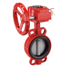 Butterfly Valve UL/FM