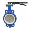 Butterfly Valve PTFE Seat