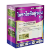 ไพราโซซัลฟูรอน 10 ดับบลิวพี