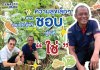 ความสุขเล็กๆ จากบานประจำที่ชอบ สู่สิ่งที่ใช่