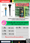 ชุดเซ็ทแปรงดีเทลลิ่ง Detailing Brush 2 ชิ้น 2 ขนแปรง