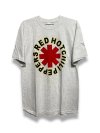 Red Hot Chili Peppers California Tour 1999