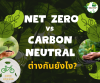 Net Zero และ Carbon Neutral ต่างกันยังไง Net Zero และ Carbon Neutral ต่างกันยังไง
