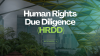 Human Rights Due Diligence (HRDD) Advisory Services