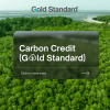 Gold Standard Gold Standard