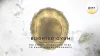 Blighted Ovum