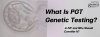 What Is PGT Genetic Testing in IVF and Who Should Consider It? What Is PGT Genetic Testing in IVF and Who Should Consider It?