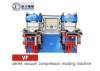 VF Series Vacumn Compression Molding Machine